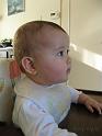 2008_01_26 (6)